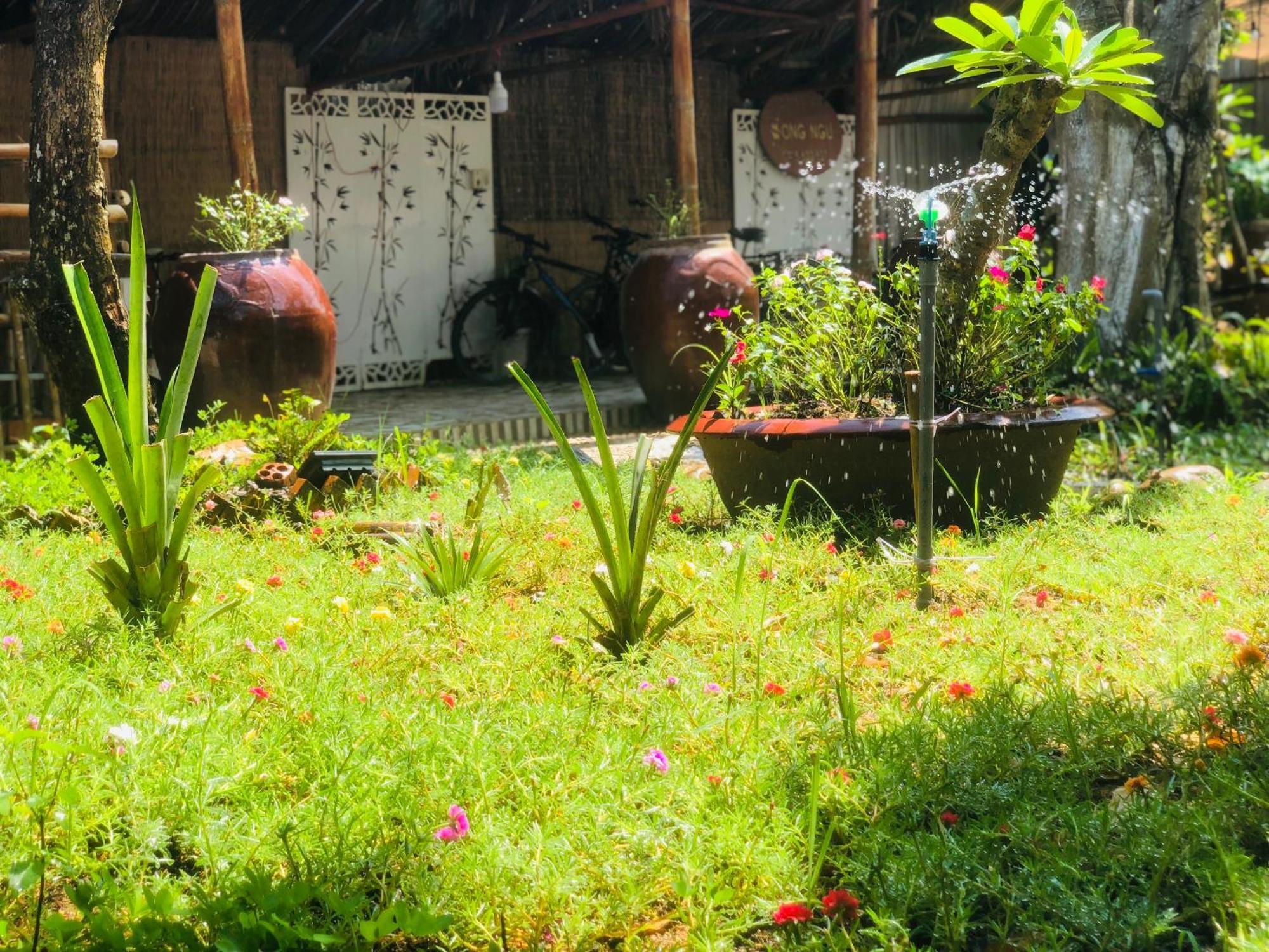 Song Ngu Pisces Homestay Can Tho Dış mekan fotoğraf